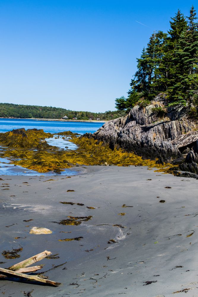 Daytime view of Hermit Island Campground