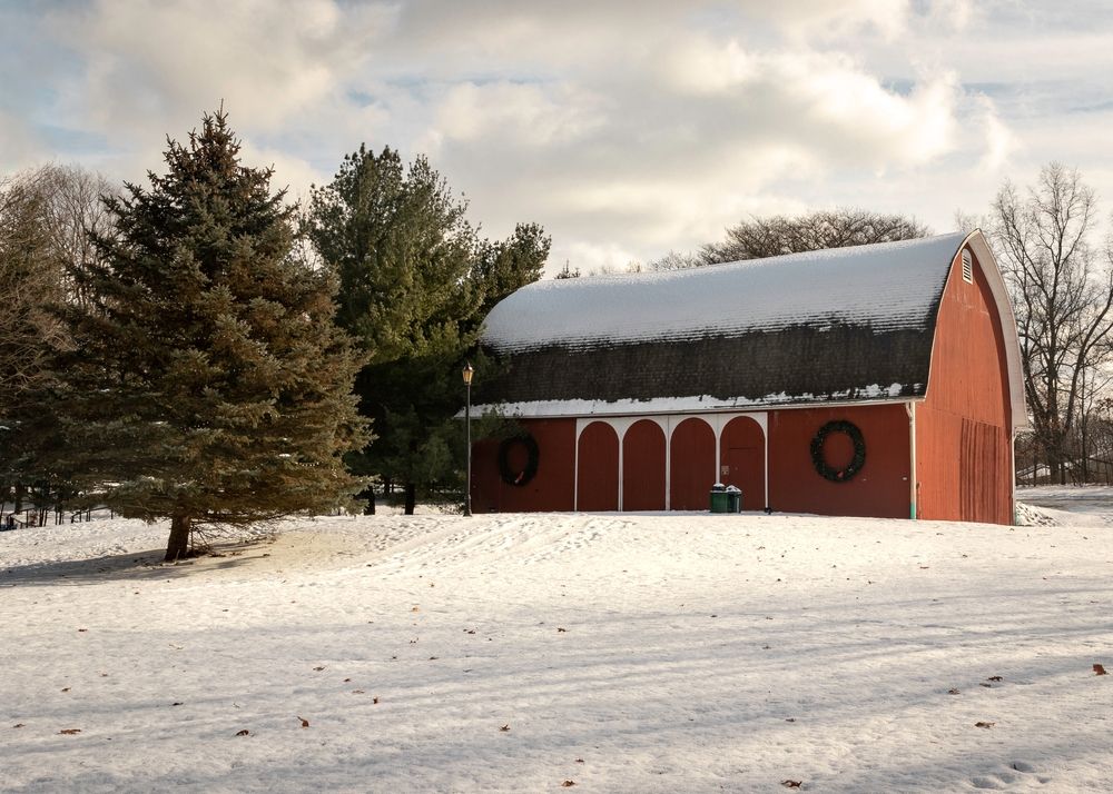 A barn at Celery Flats