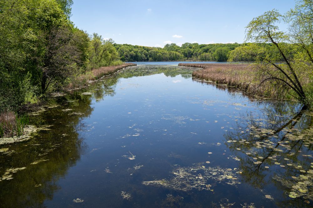 The waters of Clifton E. French Regional Park