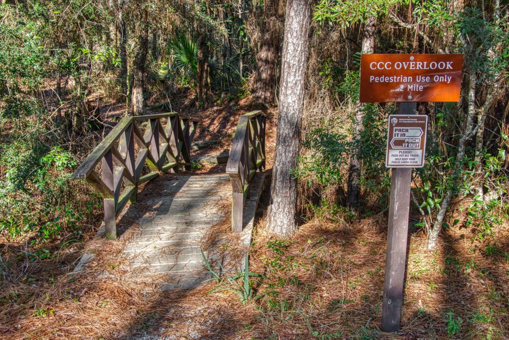 Trail leading to an overlook at Gulf Islands National Seashore
