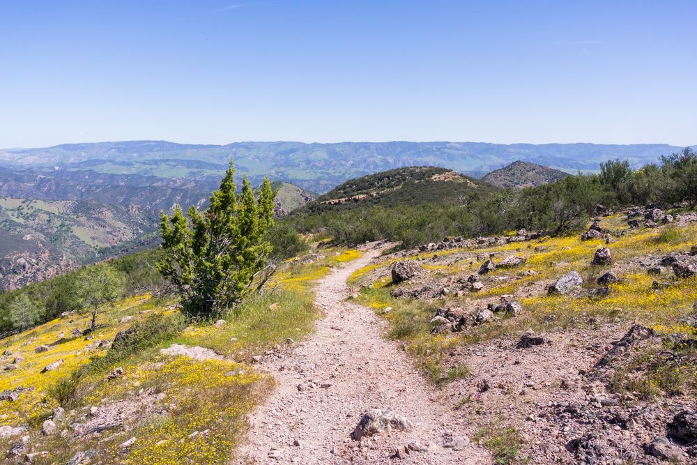 Hiking trail of Hain Wilderness