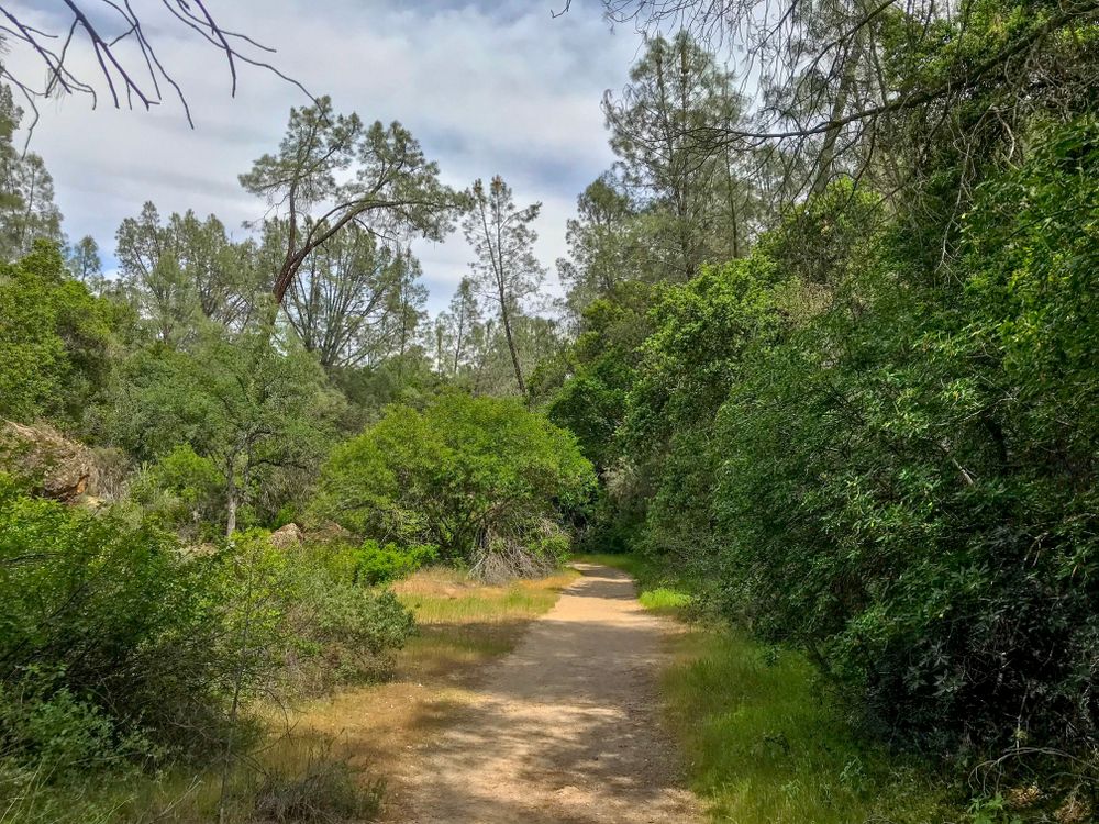 Hiking trail of High Peaks Loop