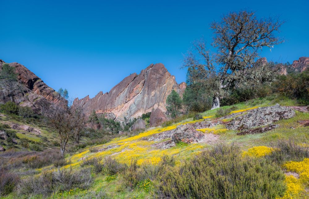 Scenic view of Machete Ridge