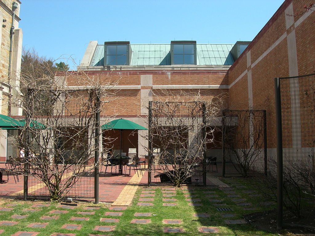 The grounds of Frances Lehman Loeb Art Center