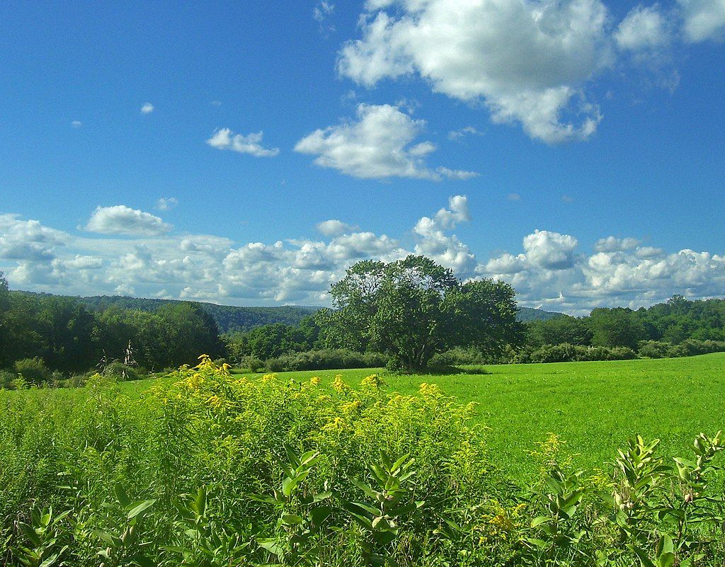 Daytime view of Harlem Valley Appalachian Trail