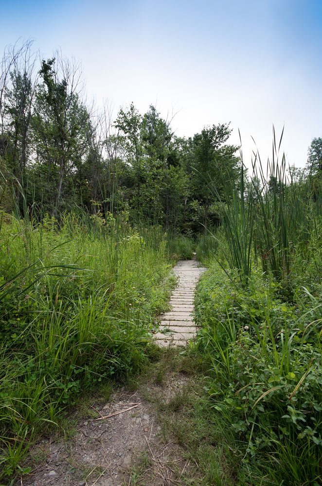 Trail at Point Au Roches State Park