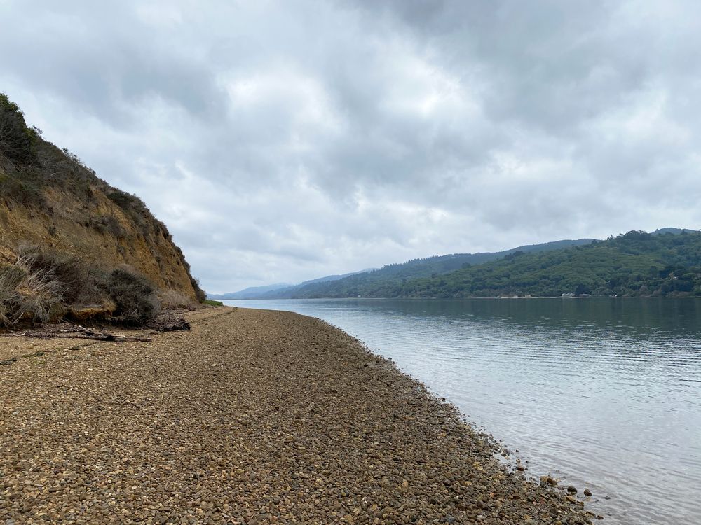 The waters and rocky shore of Tomales Bay.