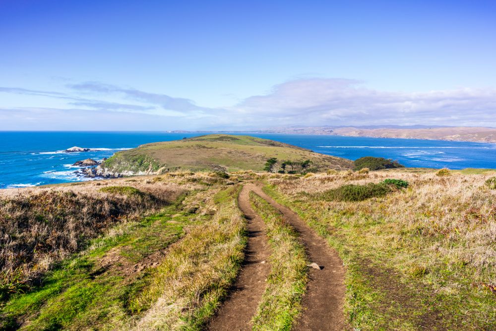 The walkway of Tomales Point Trail.