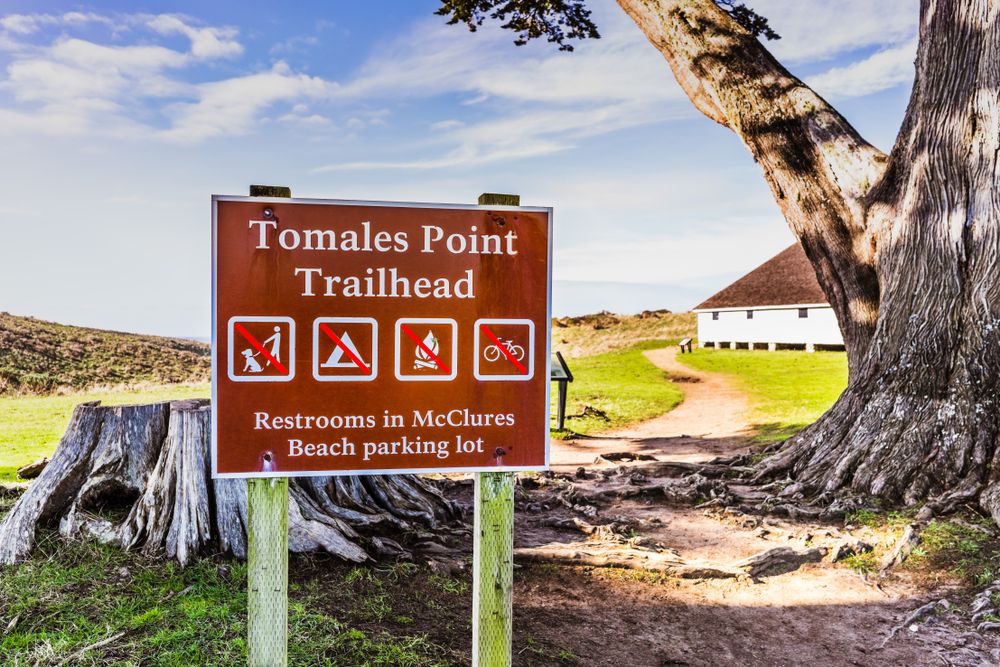 Sign post of the Tomales Point Trail.