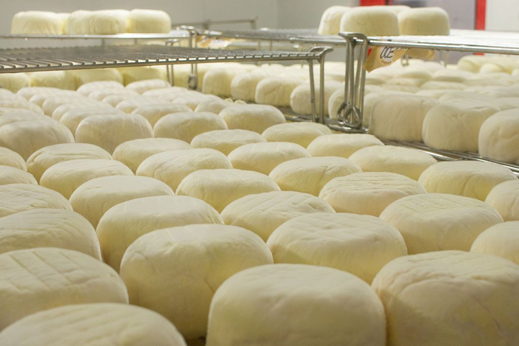 Cheese rounds at the Cowgirl creamery.