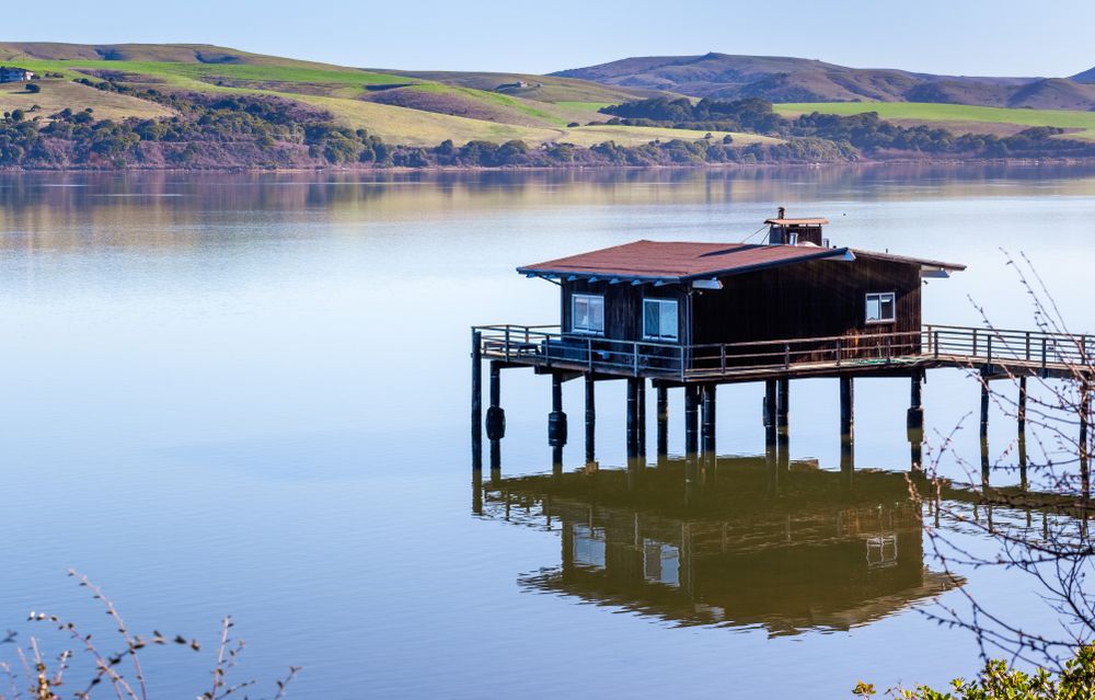 A house on stilts at Tomales Bay's shoreline.