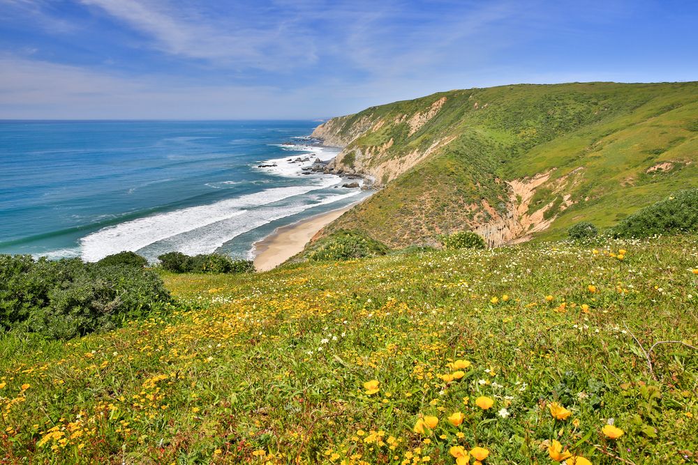 The view of the Pacific from Tomales Point Trail.