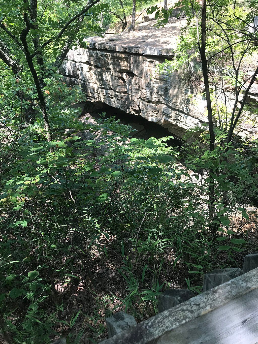 Greenery at Heavener Runestone Park