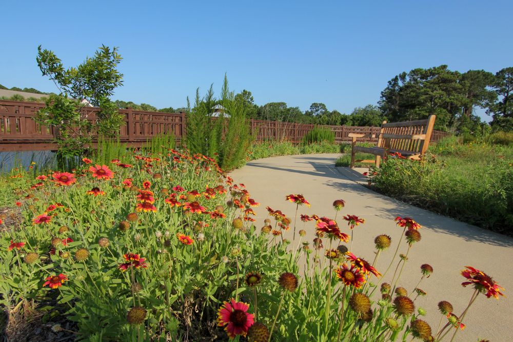 Blanket of flowers at Bird Island Park