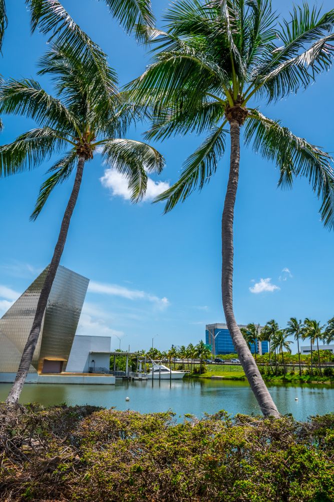body of water with a boat at IGFA Fishing Hall of Fame and Museum