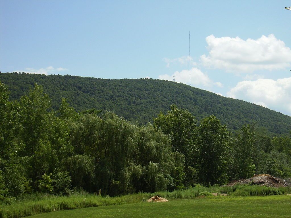 Green forest of Illinois Mountain