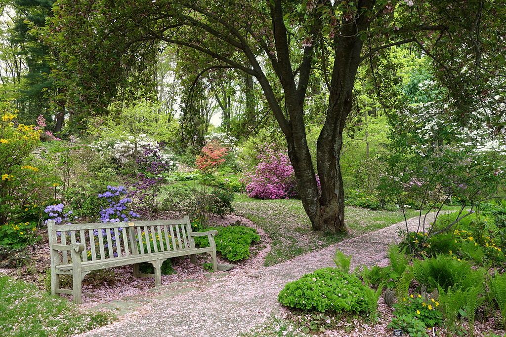 Wooden bench at Jenkins Arboretum & Gardens