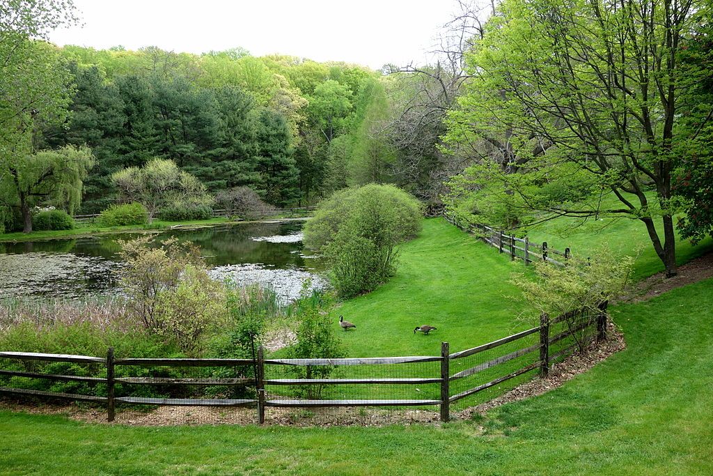A pond at Jenkins Arboretum & Gardens