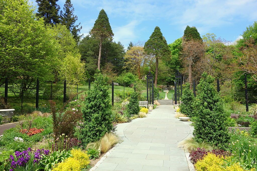 Trail lined with flora at Morris Arboretum