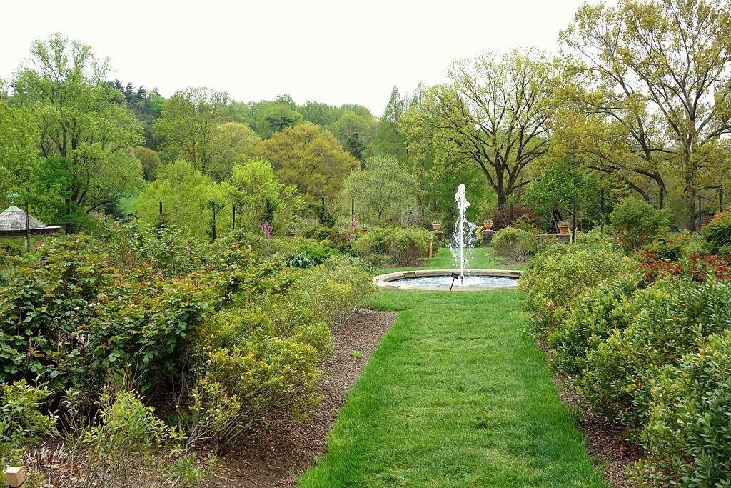 Water fountain at Morris Arboretum