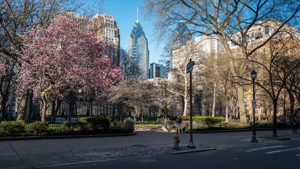 The grounds of Rittenhouse Square