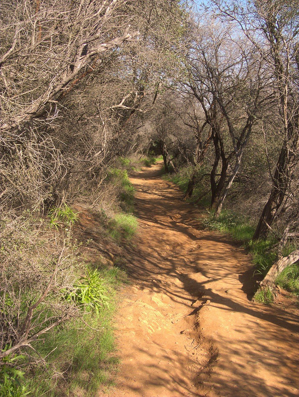 Nature trail at Temescal Canyon Hike