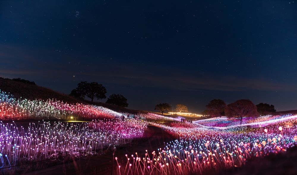 The stunning Field of Light
