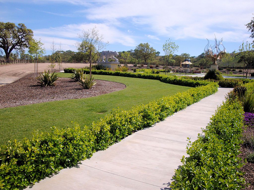 The grounds of Sculpterra Winery
