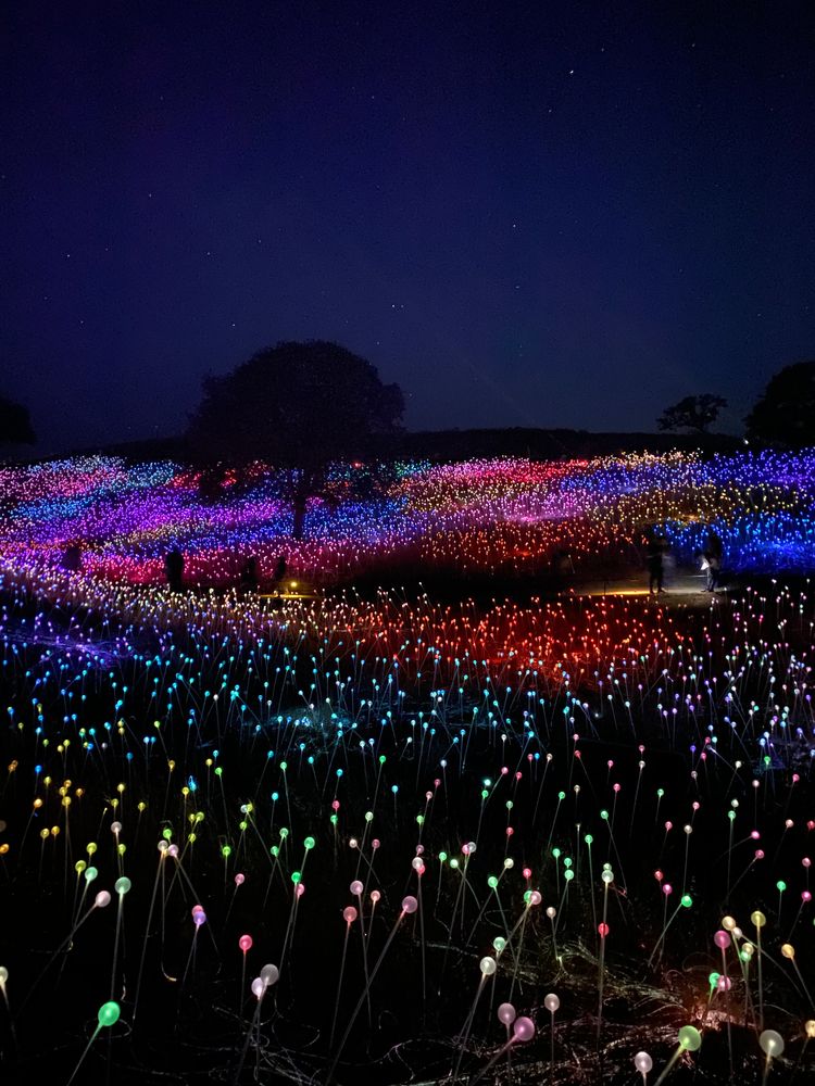 Colorful lights of Sensorio