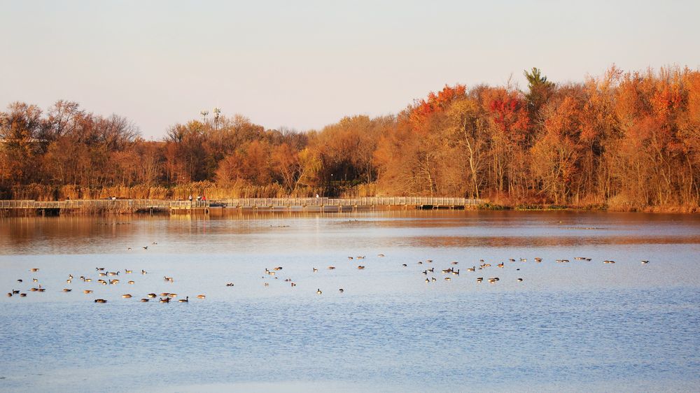 Autumn leaves surrounding John Heinz National Wildlife Refuge at Tinicum's water