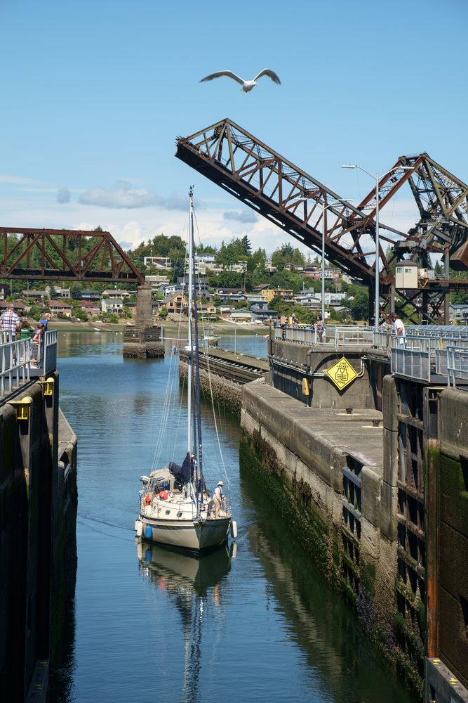 Sailboat approaching Ballard Locks