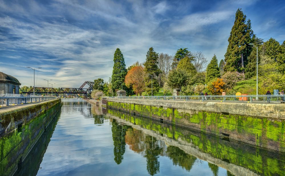 The waters of Ballard Locks