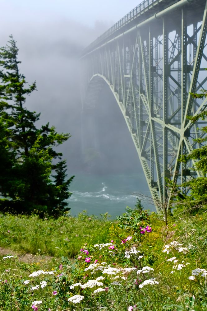 Thick fog covering Deception Pass Bridge