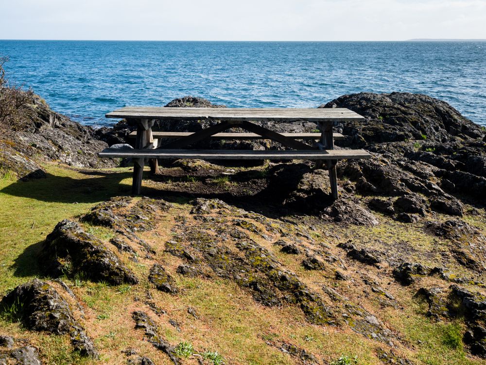 Picnic table overlooking the waters at Lime Kiln Point State Park