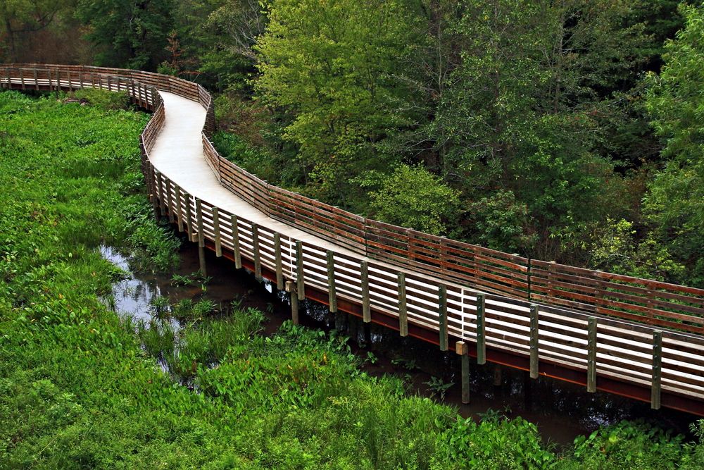 Aerial view of Silver Comet Trail's boardwalk