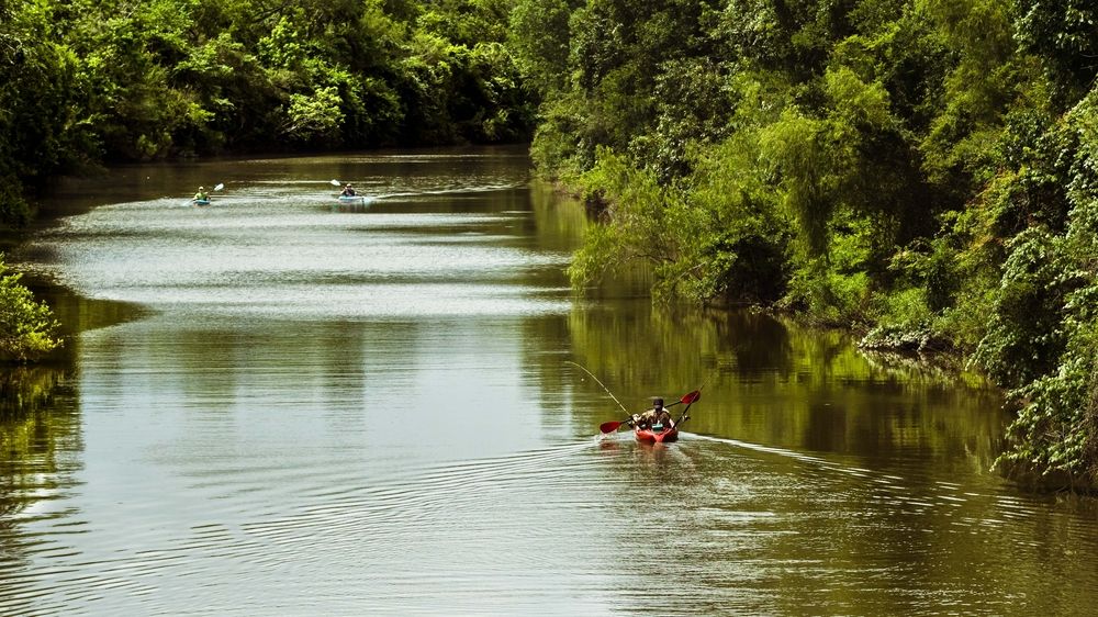 The waters of Big Island Slough