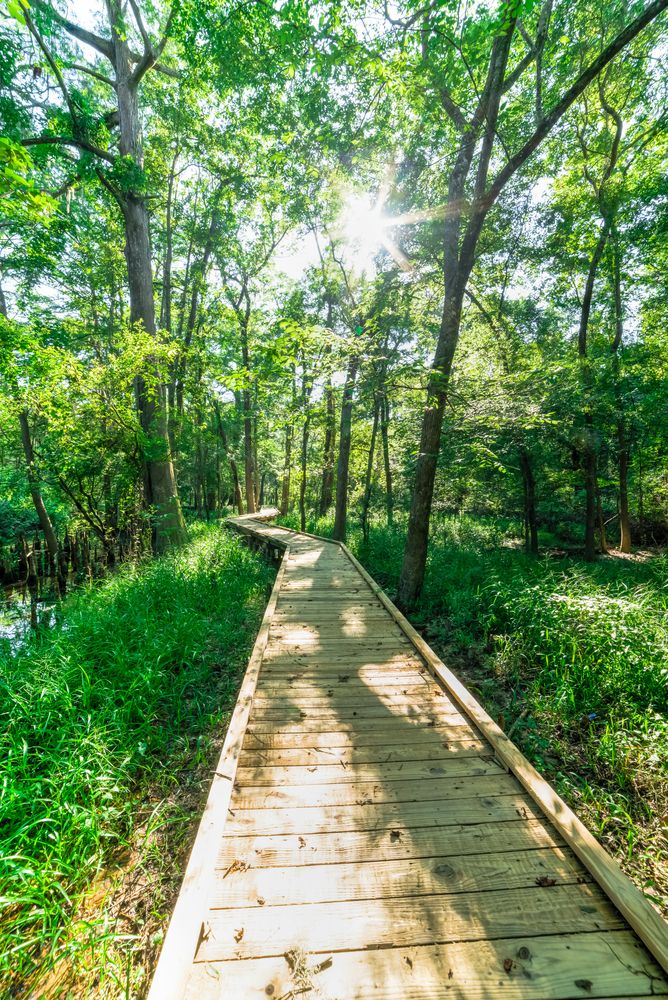 Boardwalk trail at Jesse H. Jones Park & Nature Center