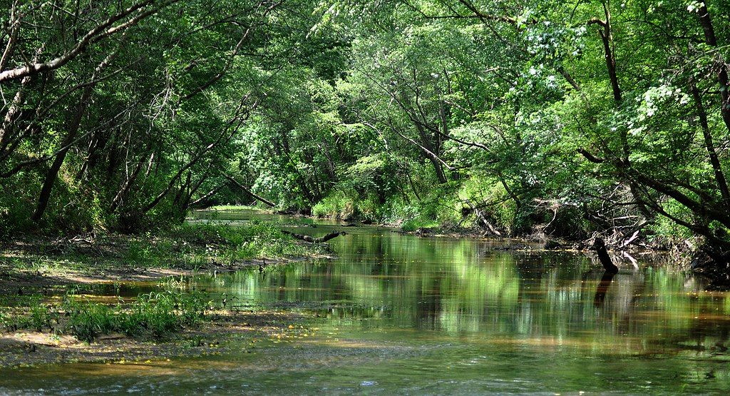 Peach creek at Lake Houston Wilderness Park