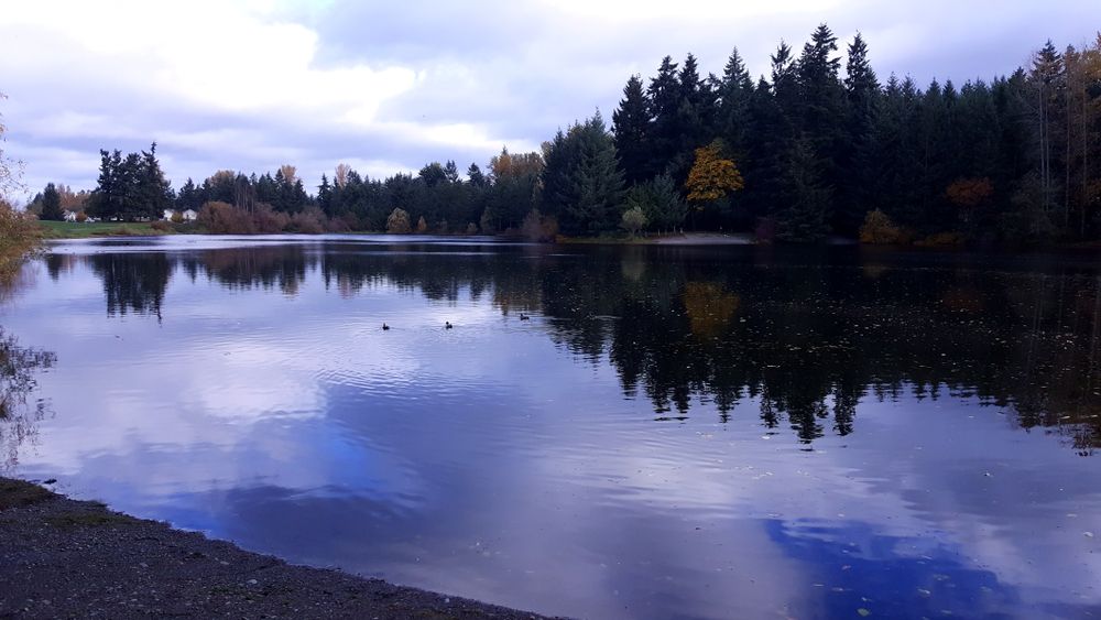 The waters of Bradley Lake Park