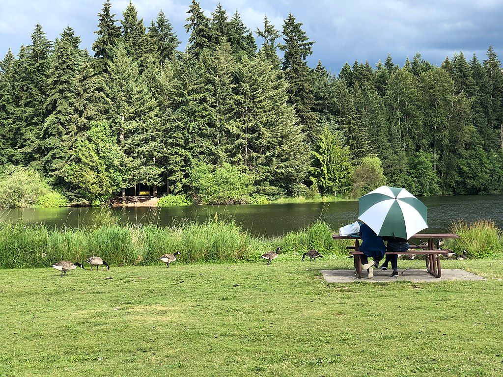 Daytime view of Bradley Lake Park
