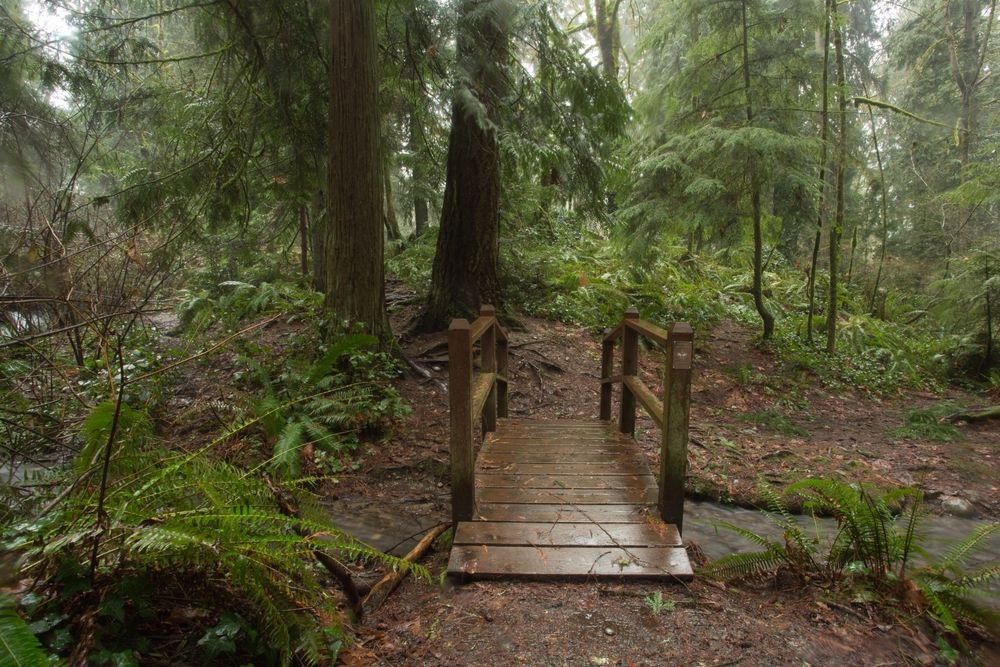 A small footbridge at Wildwood Park