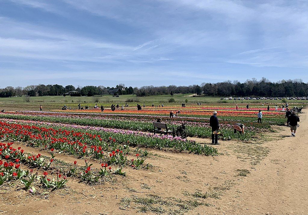 People at Burnside Farm's Festival of Spring