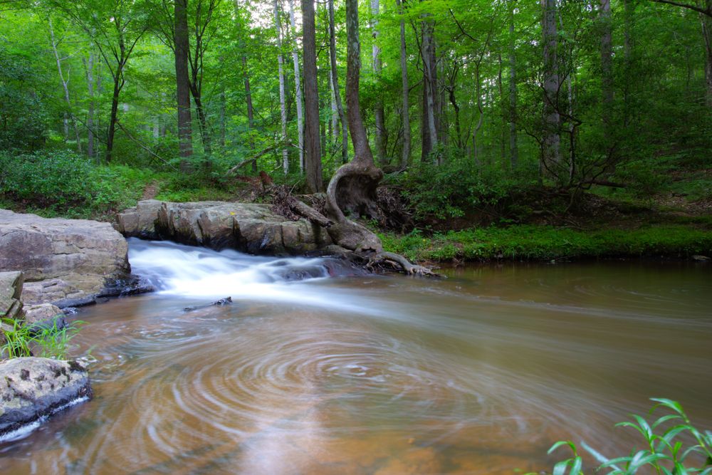 The waters of Prince William Forest Park