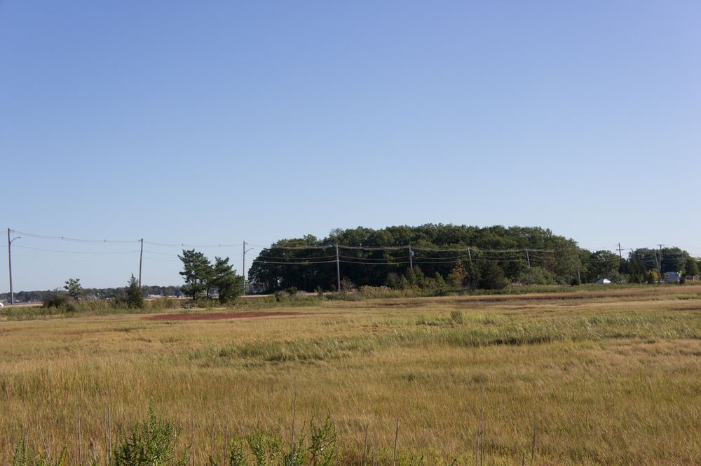 Open field of Moswetuset Hummock