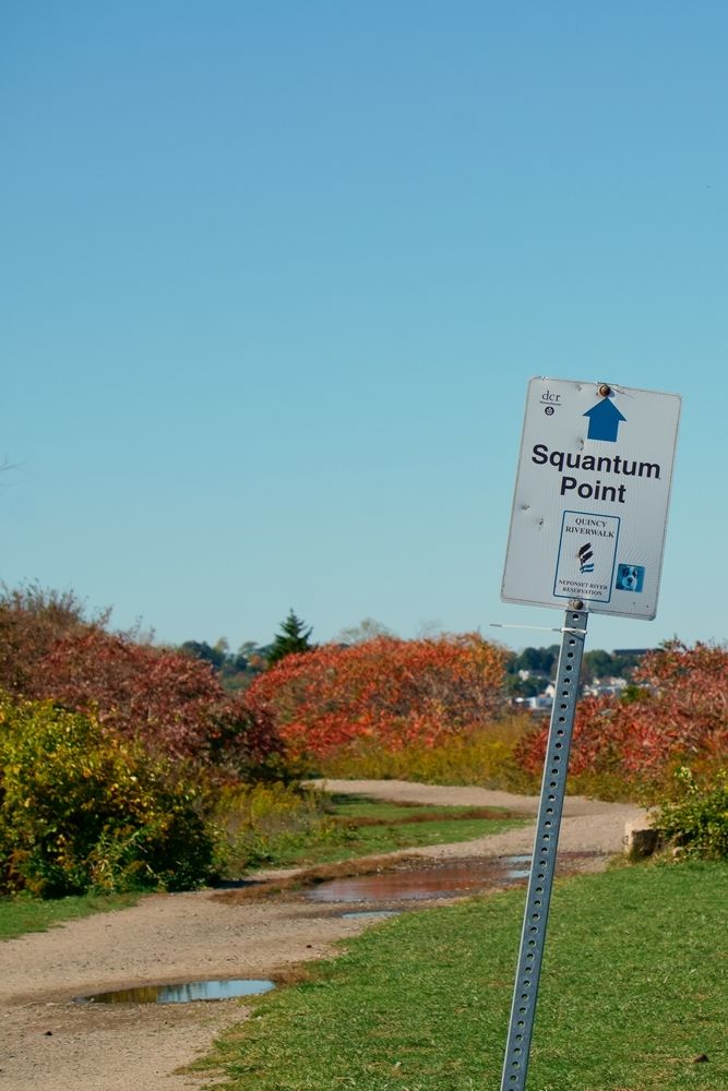 Trail at Squantum Point Park