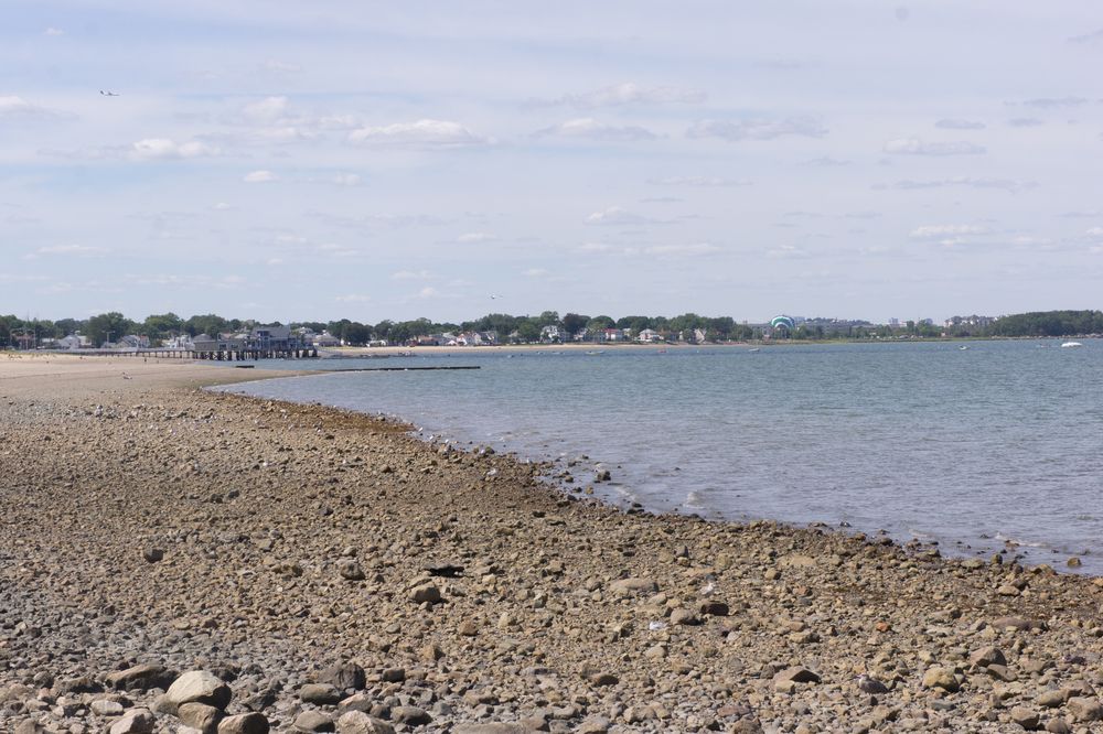 Sunny day at Wollaston Beach