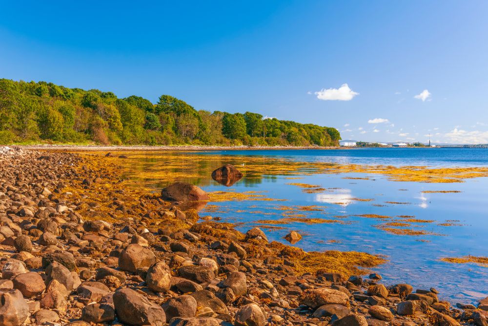 Scenic view of Moose Point State Park