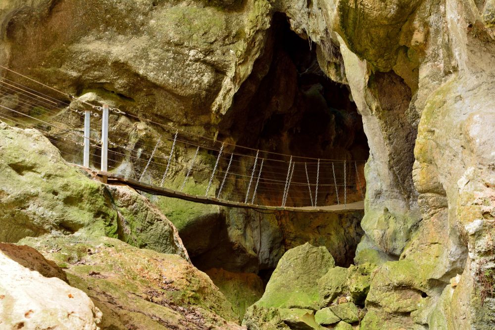 Hanging bridge of Capricorn Caves