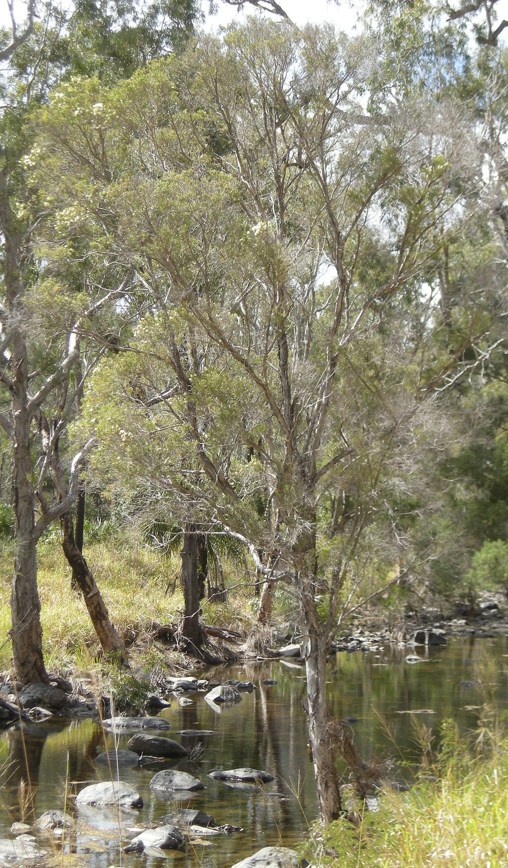 The waters of Mount Archer National Park