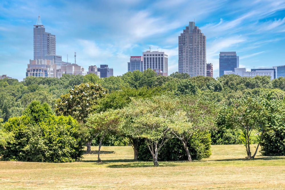 Landscape of Dorothea Dix Park